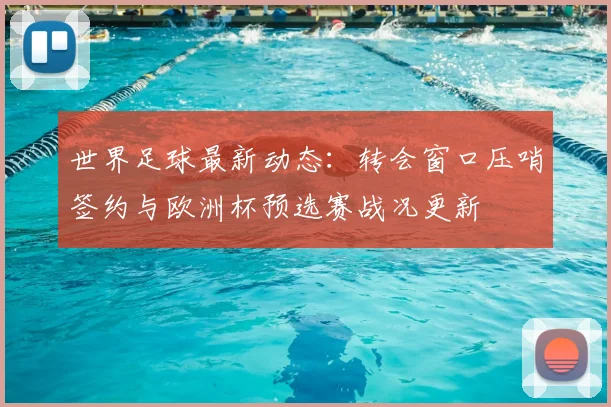 世界足球最新动态:转会窗口压哨签约与欧洲杯预选赛战况更新